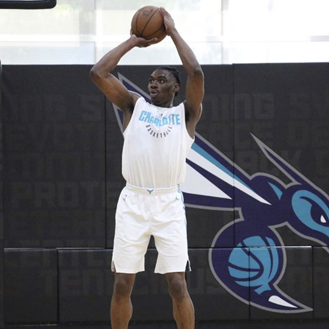 NBA/Charlotte Hornets